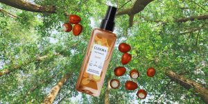 Karité: Novo Body Splash Floral da Eudora traz fragrância de árvore sagrada africana