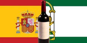 Os melhores e mais famosos Vinhos de Andaluzia