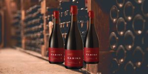 Sacramentos Sabina Syrah: Por apenas R$ 180, este vinho tinto brasileiro é um dos mais procurados de 2024