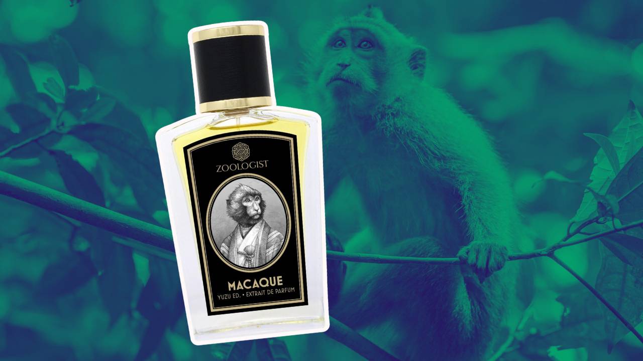 Macaque Yuzu Edition